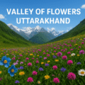 Valley of Flowers Uttarakhand trekking trail with blooming alpine flowers and snow-capped Himalayan peaks