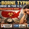 Flea-borne typhus surge in the US 2026 showing infected flea, symptoms rash, and prevention tips